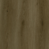 2547 Tile de vinilo SPC 